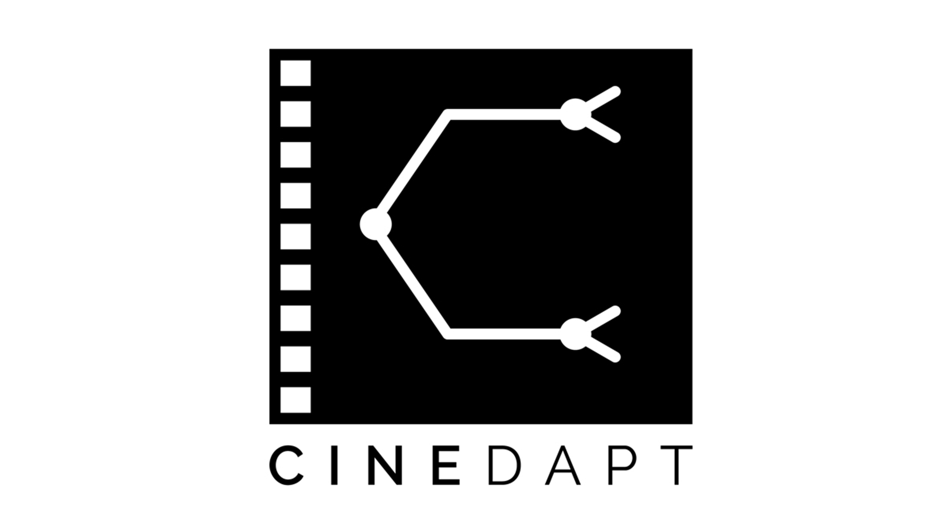 Cinedapt is Now Casting for a film that will revolutionize the film entertainment industry